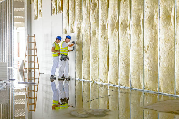 Best Cellulose Insulation in Dewart, PA